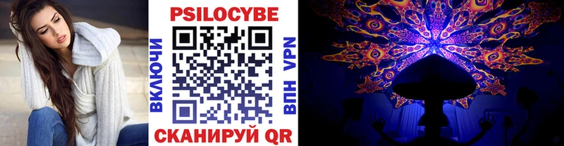 Галлюциногенные грибы мицелий блэк спрут зеркало Бежецк