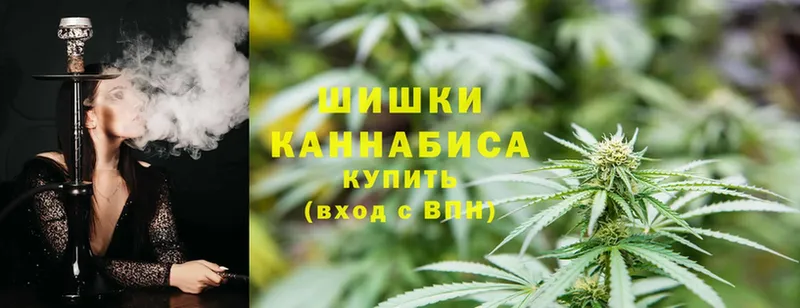 где купить наркоту  Бежецк  Марихуана SATIVA & INDICA 